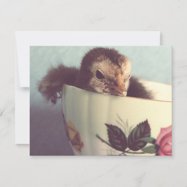 Just Chillin' (Front)