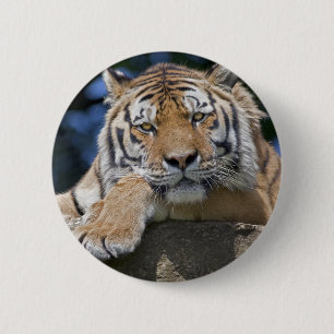 Just Chillin' Badge