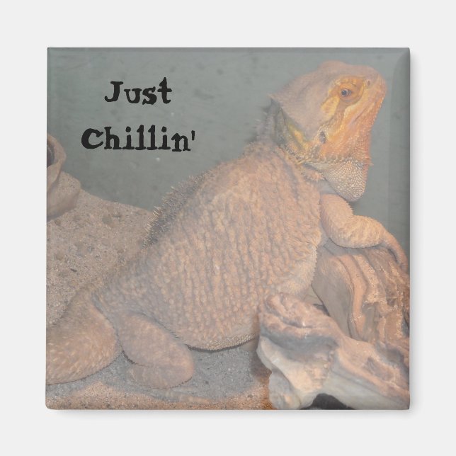 Just Chillin' - Bearded Dragon Magnet (Front)