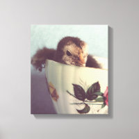 Just Chillin Here in This Teacup