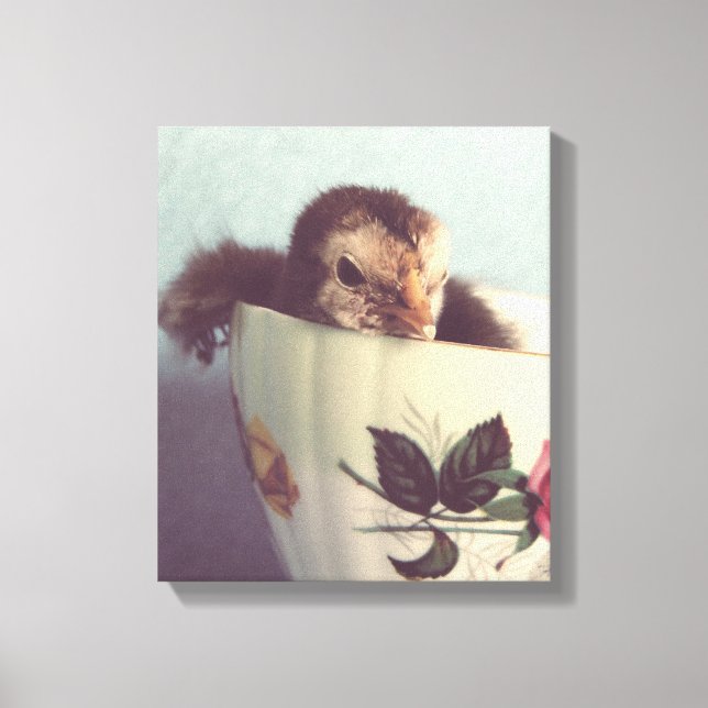 Just Chillin Here in This Teacup Canvas Print (Front)