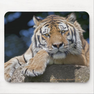 Just Chillin Mousemat