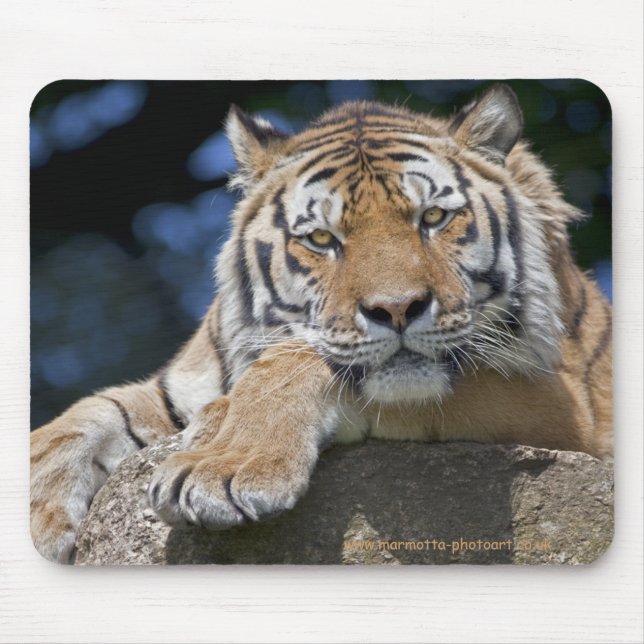 Just Chillin Mousemat (Front)