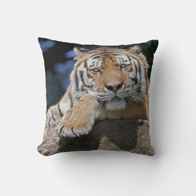 Just Chillin Pillow (Front)
