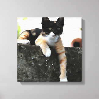 Just Chillin Tricolor Cat Pet Portait Canvas Print