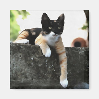 Just Chillin Tricolor Cat Pet Portait Magnet