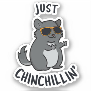 Just Chin-Chillin Funny Chinchilla Pun 