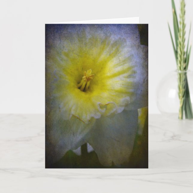 Just Daffy Card (Front)