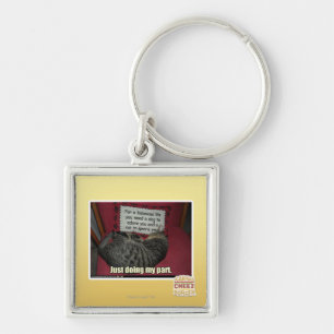 Just doing my part. key ring