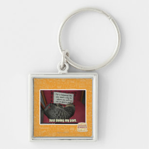 Just doing my part. key ring