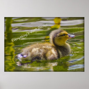 Just Ducky Poster