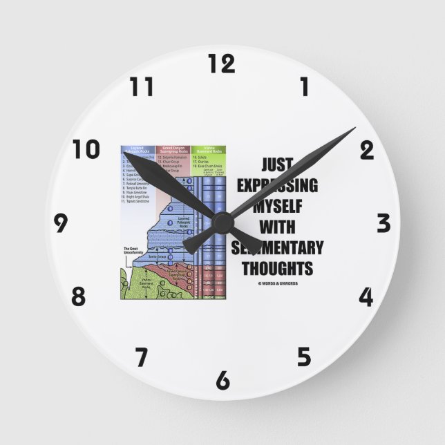 Just Expressing Myself With Sedimentary Thoughts Round Clock (Front)