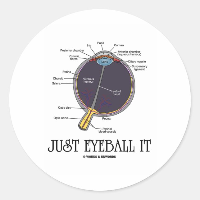 Just Eyeball It (Eye Anatomy Approximation Saying) Classic Round Sticker (Front)