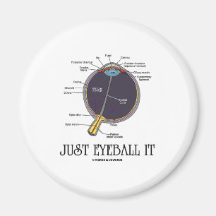 Just Eyeball It (Eye Anatomy Approximation Saying) Magnet