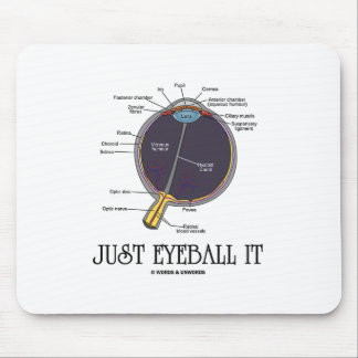 Just Eyeball It (Eye Anatomy Approximation Saying) Mouse Mat