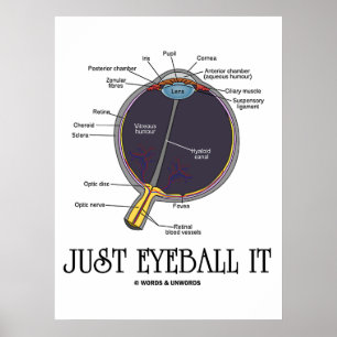 Just Eyeball It (Eye Anatomy Approximation Saying) Poster