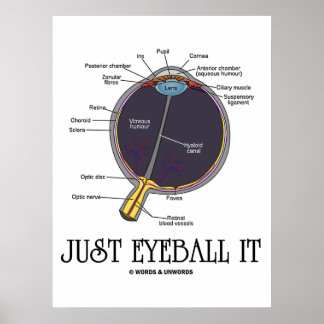 Just Eyeball It (Eye Anatomy Approximation Saying) Poster