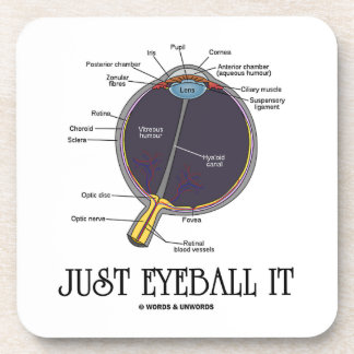 Just Eyeball It (Human Eye Anatomy) Coaster