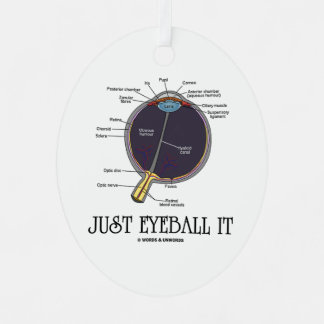 Just Eyeball It Human Eye Anatomy Geek Advice Metal Tree Decoration