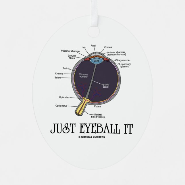Just Eyeball It Human Eye Anatomy Geek Advice Metal Tree Decoration (Front)