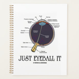 Just Eyeball It Human Eye Anatomy Geek Advice Planner