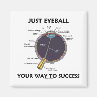 Just Eyeball Your Way To Success (Eye Anatomy) Magnet
