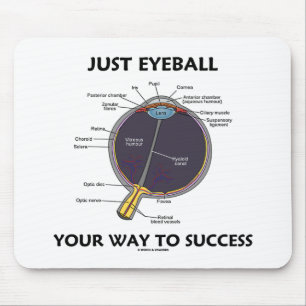 Just Eyeball Your Way To Success (Eye Anatomy) Mouse Mat