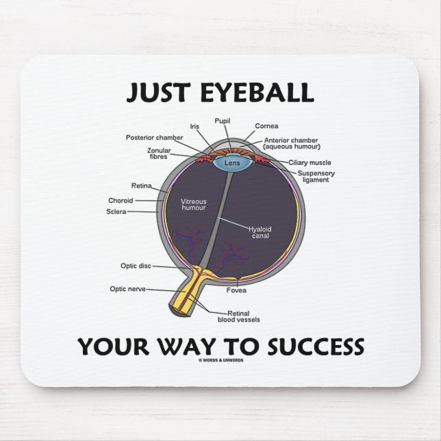 Just Eyeball Your Way To Success (Eye Anatomy) Mouse Mat (Front)