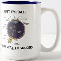 Just Eyeball Your Way To Success (Eye Anatomy)