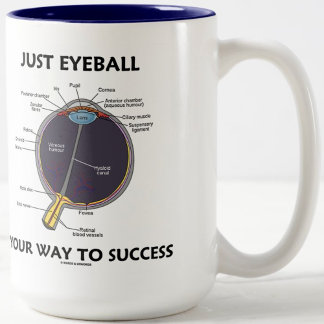 Just Eyeball Your Way To Success (Eye Anatomy) Two-Tone Coffee Mug