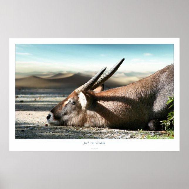 just for a poster (Front)