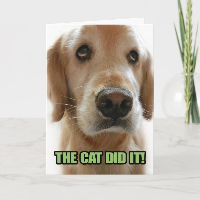 Just for Fun! Guilty Golden Retriever Apology Card (Front)