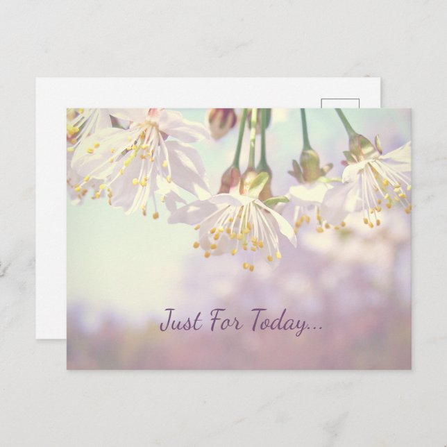Just for today...  postcard (Front/Back)