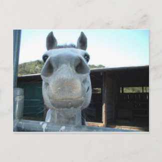 Just For Today Postcard