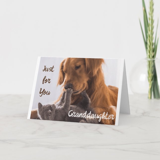 **JUST FOR YOU GRANDDAUGHTER** BIRTHDAY IS SPECIAL CARD (Front)