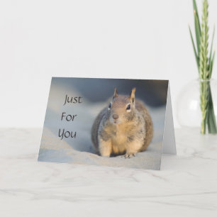 Just For You Squirrel Card