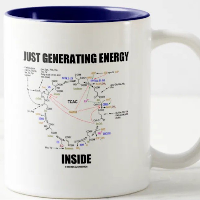 Just Generating Energy Inside (Krebs Cycle) Two-Tone Coffee Mug (No need to be a biochemist to enjoy this Krebs cycle mug that says "Just Generating Energy Inside")
