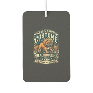 Just Girl Who Loves Halloween Postal Service Witch Car Air Freshener