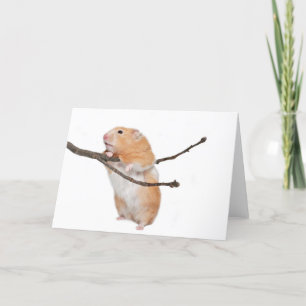 just hanging around card