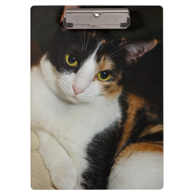 Just Hanging Around Clipboard (Front)