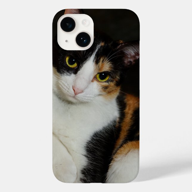 Just Hanging Around iPhone Case (Back)