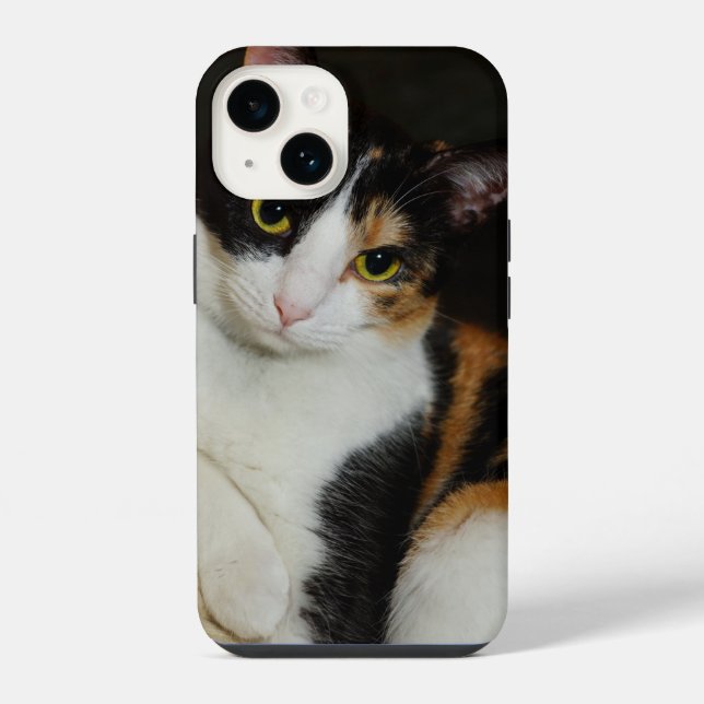 Just Hanging Around iPhone Case (Back)