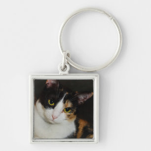 Just Hanging Around Key Ring