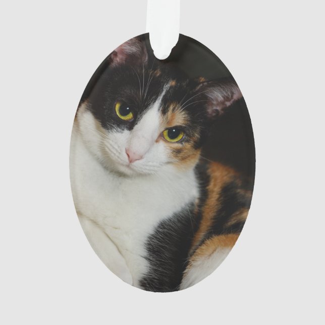 Just Hanging Around Ornament (Back)