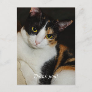 Just Hanging Around Thank You Postcard