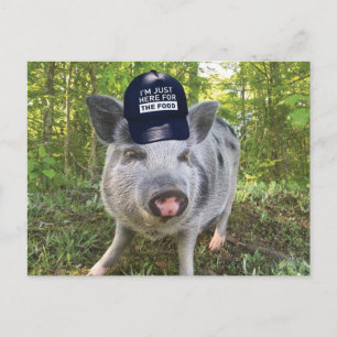 Just Here For The Food Pig Postcard