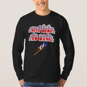 Just Here To Bang Fireworks 4th Of July Pun Meme T-Shirt
