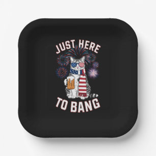 Just Here To Bang USA Flag Beer Cat Lover July 4th Paper Plate