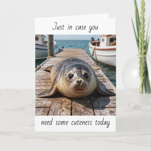 Just in Case You Need some Cuteness Today | Seal Card (Front)