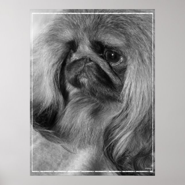 Just Jeroen Poster (Front)